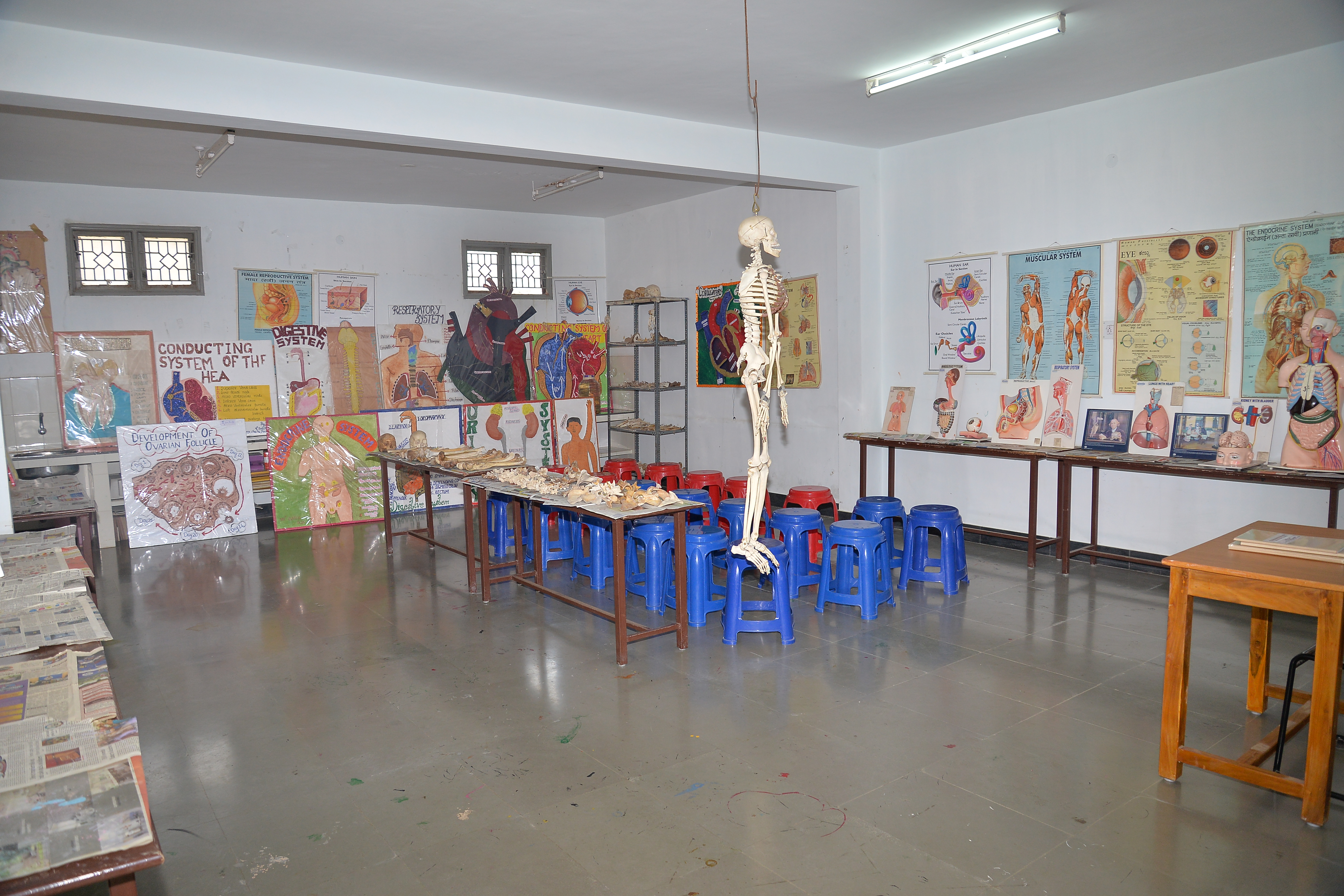 Anatomy Lab